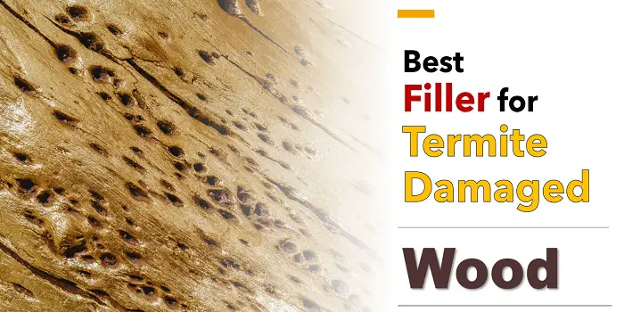 Best Filler to Repair Termite Damaged Wood