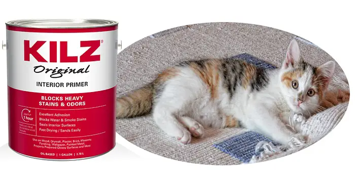 Kilz Paint Get Rid Of Cat Urine Smell, How To Get Cat Urine Smell Out Of Vinyl Floor
