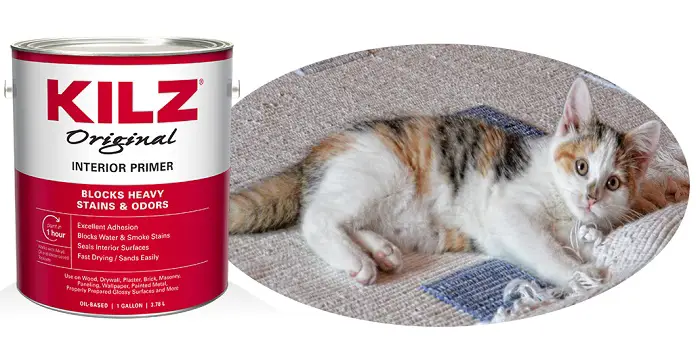 Can Kilz Paint Get Rid Of Cat Urine Smell From Subfloor