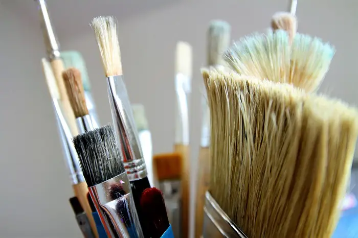 Best Eco-Friendly Brushes