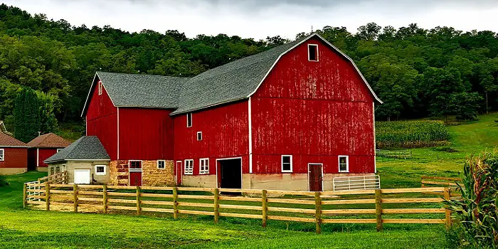 How to Stain Pressure Treated Wood Fence