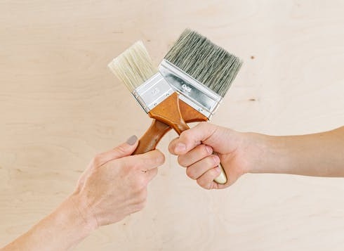 Renewable Eco-Friendly Paint Brush