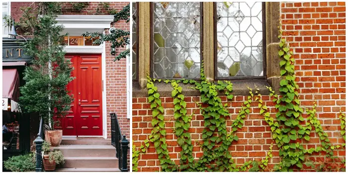 Best Paint Colors for Red Brick Home