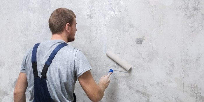 PVA Primer vs. Drywall Primer